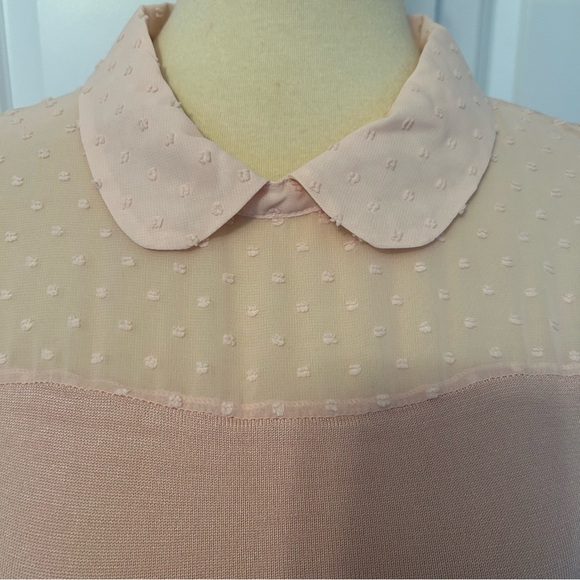 Adrianna Papell Blush Pink Swiss Dot Sheer Sweater NWOT - Picture 4 of 5